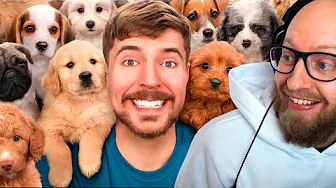 Det her kan man da ikke hate på?