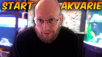 Sådan Starter Du Et Akvarie
