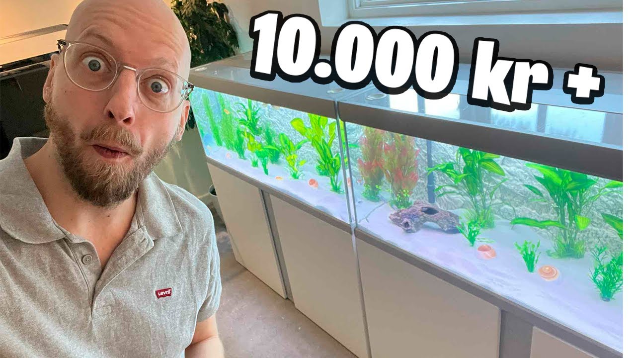 Det blev nogen DYRE akvarier at indrette!💲