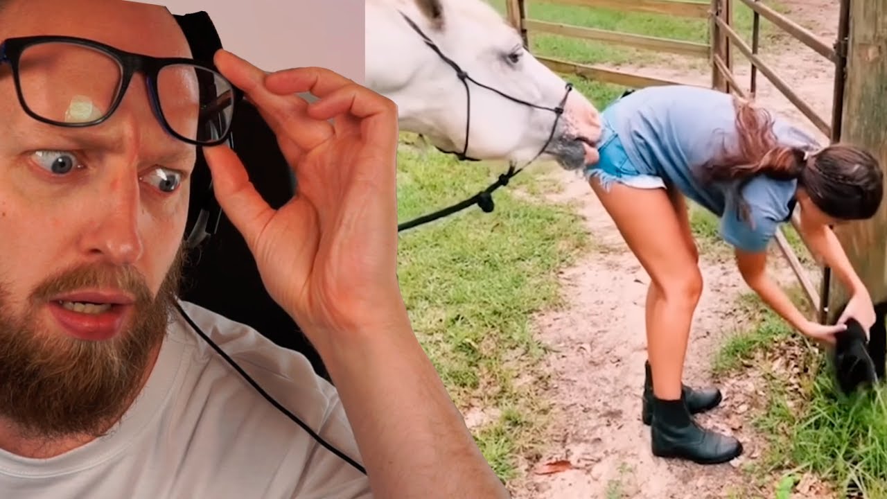 Okay, semifræk krikke🐎💦