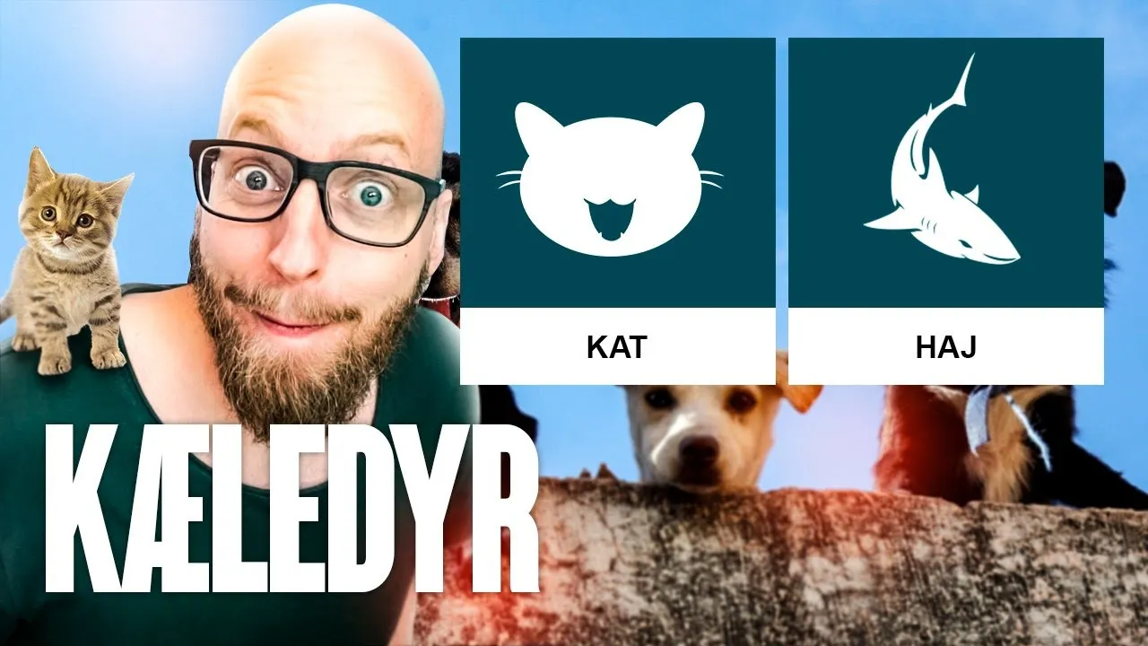 De vildeste kæledyr! HAJER?🦈