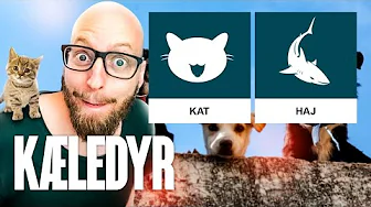 De vildeste kæledyr! HAJER?🦈