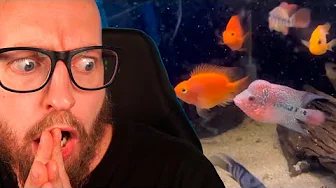 Jeg kørte 400 km for det her