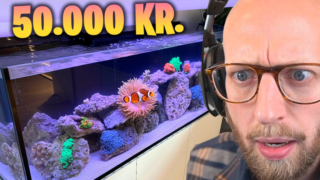 Jeg Starter Saltvandsakvariet