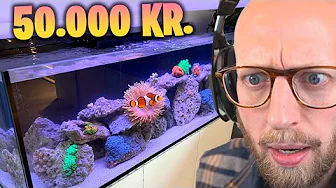 Jeg Starter Saltvandsakvariet