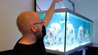 Smider fisk i 576 liters paradis