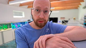 Tror jeg har fortrudt...