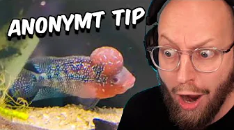 Jeg Kom Til At Købe Flere