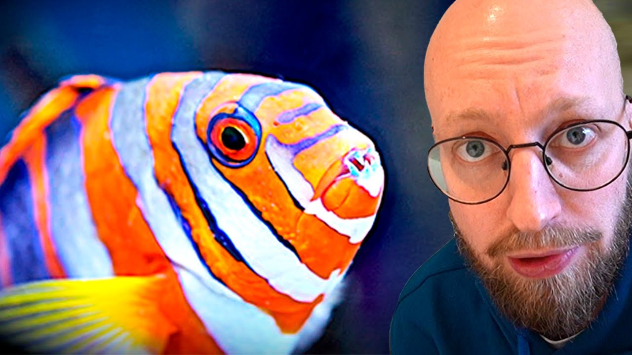 Vanvittig akvariebeslutning. En Ny Start...