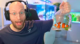 Køber Fisk For 7.000 kr