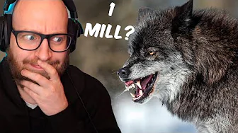 Kæmpe mod en ulv for 1 million?