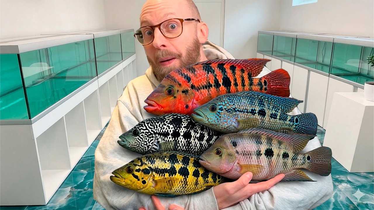 Alle Mine 13 Akvarier