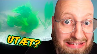 Nyt akvarie ankommer, men...