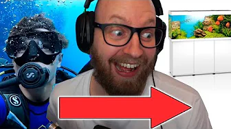 Paluch Skal Svømme i Mit Akvarie