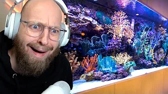 Akvarium til flere millioner i Dubai