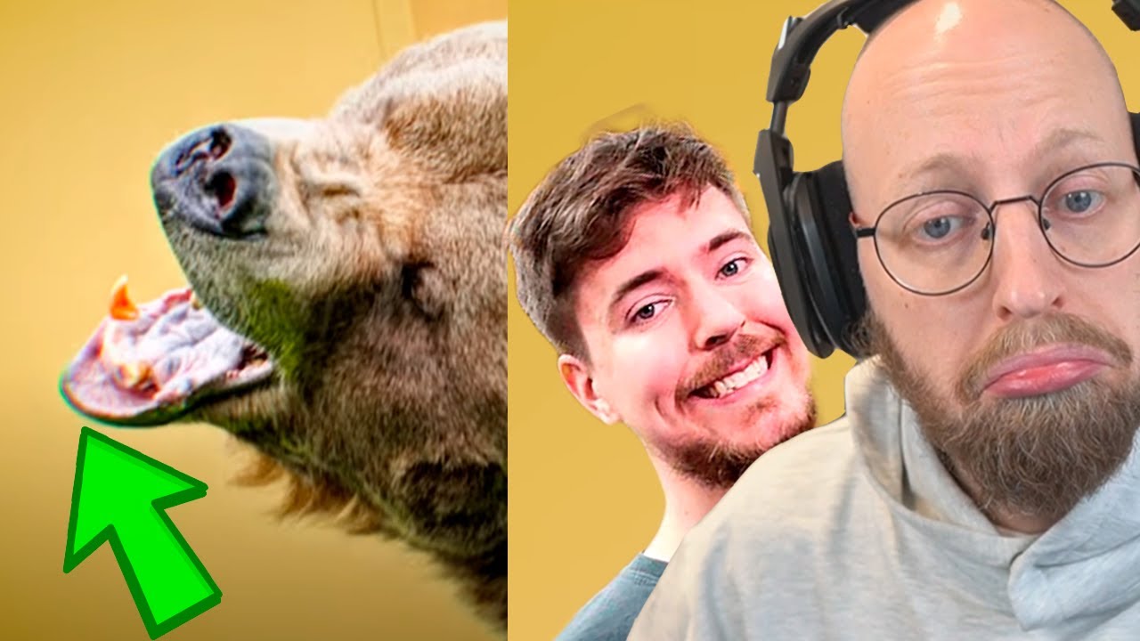 Mr Beast taget i green screen?