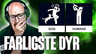 Mest DØDBRINGENDE DYR 🐍