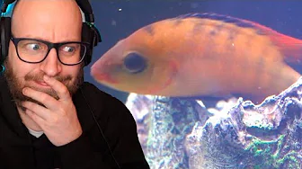 Jeg fik endelig et godt billede af den