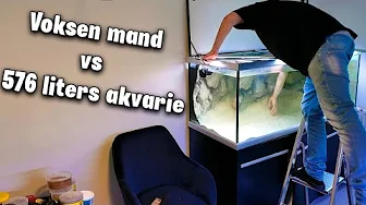 Hopper næsten ned i akvariet