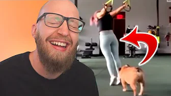 Hunden Overfalder Hende Bagfra!