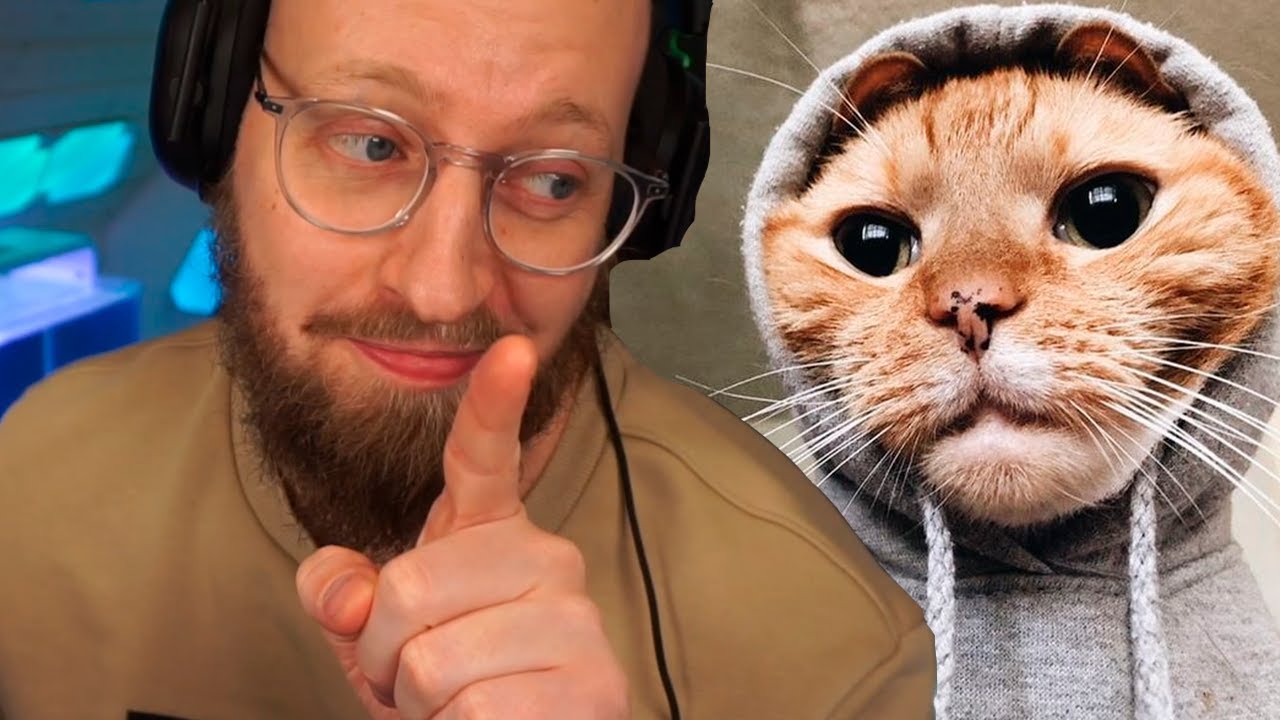 Bliver Uvenner Med En Kat