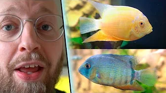 Mit Nye Akvarie Setup