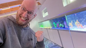 Flowerhorns Flytter Ind