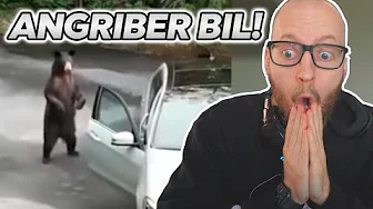 Johnni Gade ser: FAILS vs WINS!