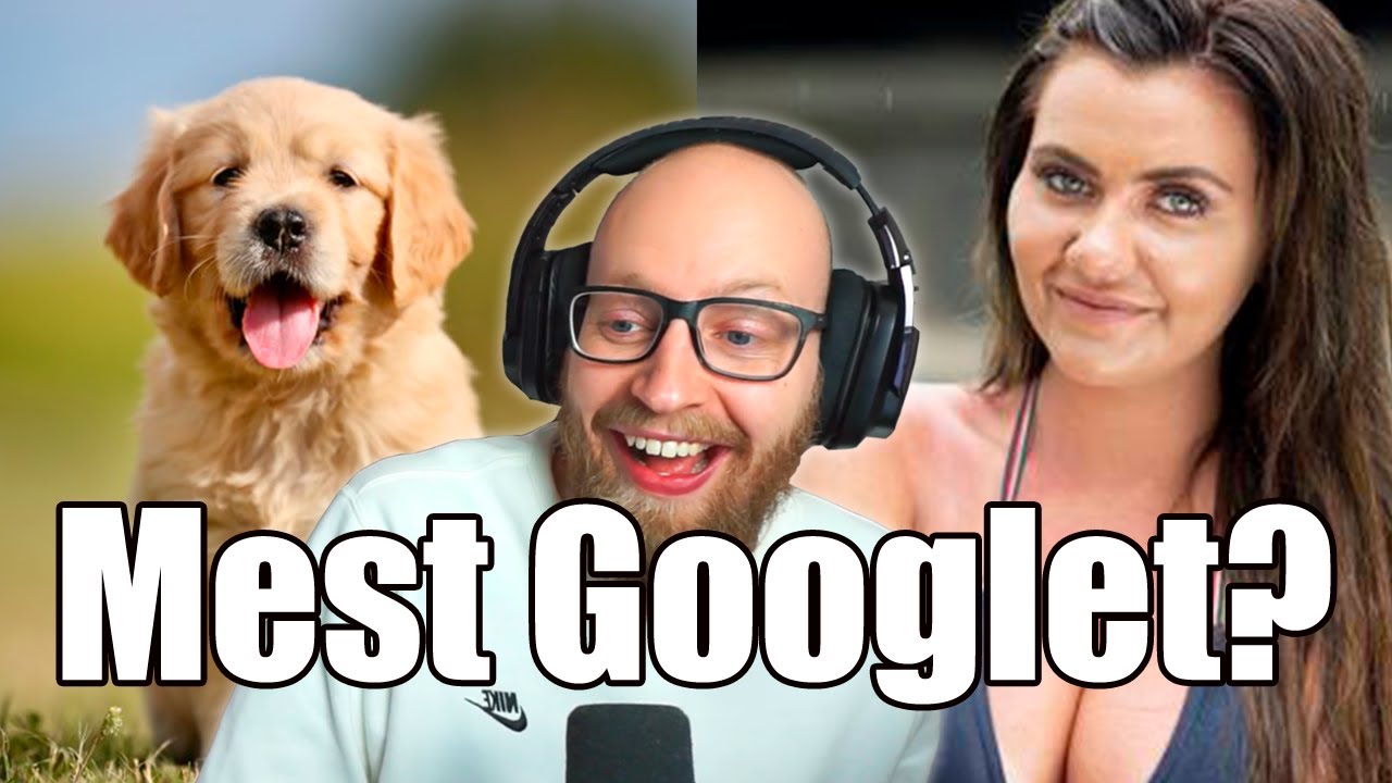 Hvad har flest Google søgninger?