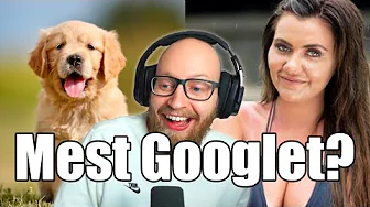 Hvad har flest Google søgninger?