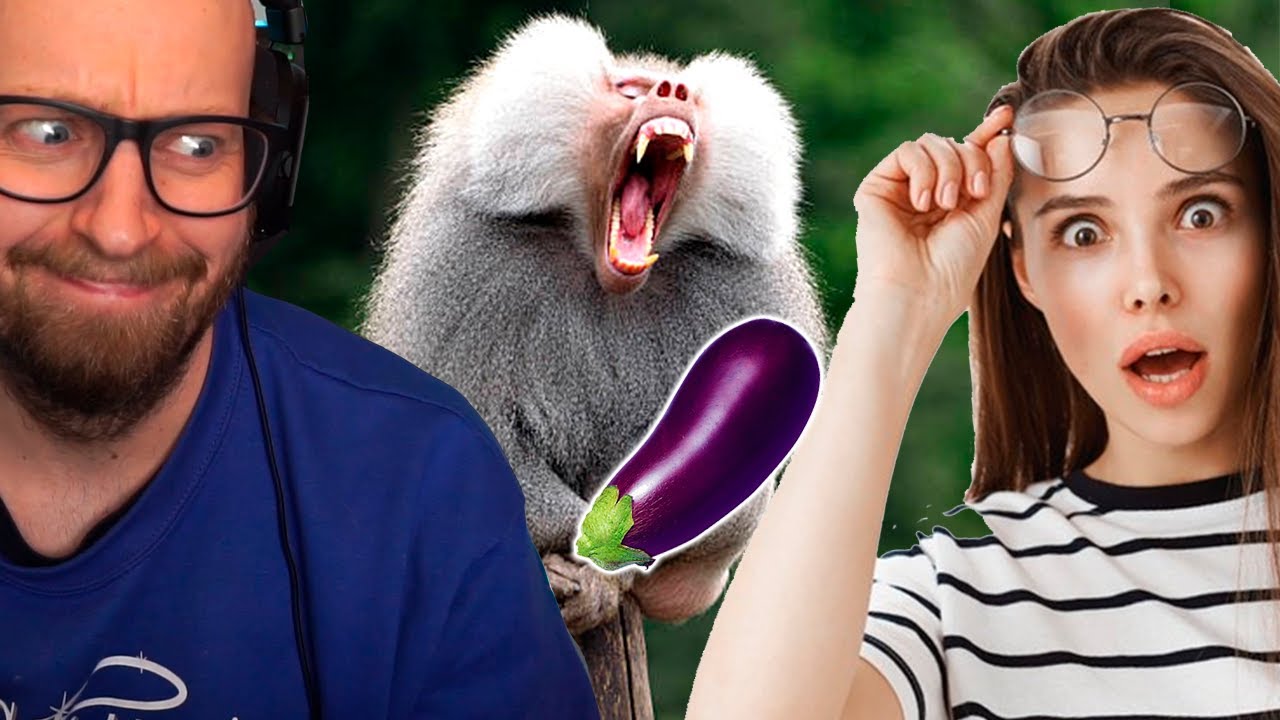 Hun bliver imponeret af abens store... ja 🍆