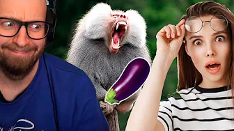 Hun bliver imponeret af abens store... ja 🍆