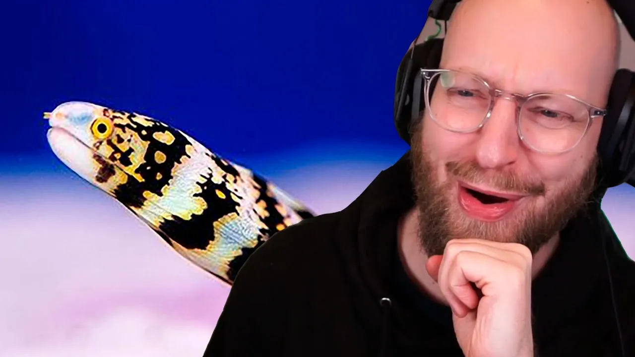 Ej jeg bliver nød til at købe et saltvandsakvarie