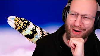 Ej jeg bliver nød til at købe et saltvandsakvarie