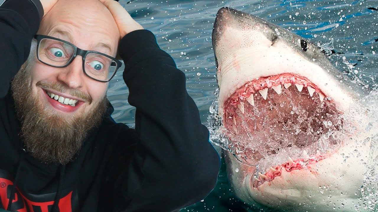 Det Stærkeste Bid i Verden