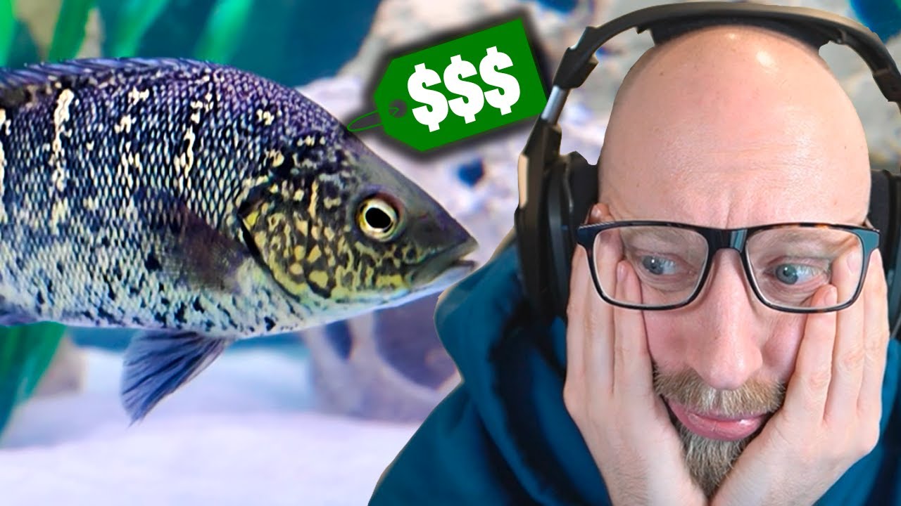 Kører 400 km efter SJÆLDEN fisk