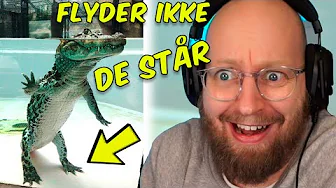 MINDBLOWING fakta 🤯