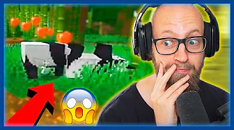 Hvad Laver De Pandaer Med Hinanden!? 🐼😲