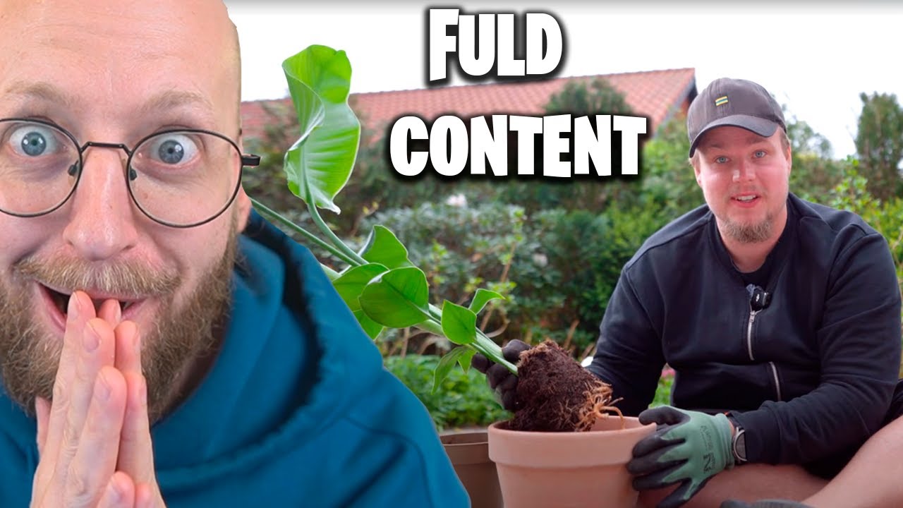 Futte med årets budskab til Simba Prisen