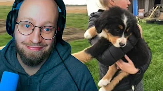 Jas & Mikas' hund er mindre end min