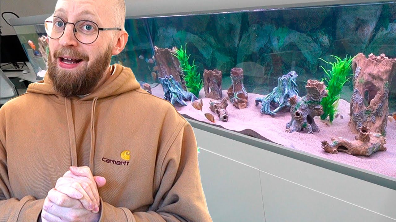 Køber fisk for tusindvis af kroner