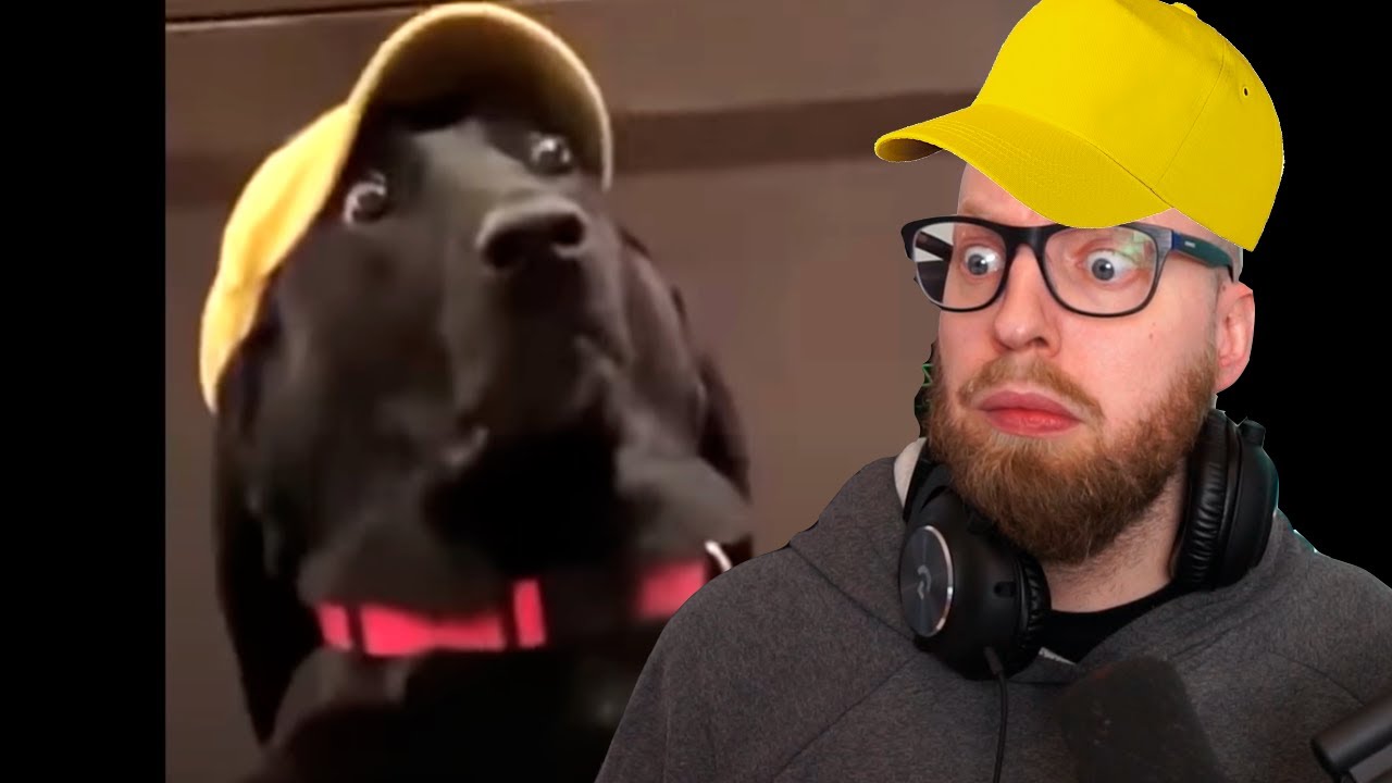 Det her er mærkeligt...