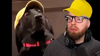 Det her er mærkeligt...