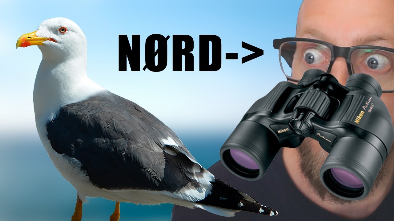 Stop Med At Mobbe Mig (Loco Søndag 🌵)