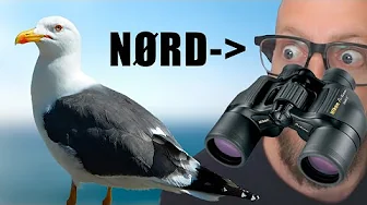 Stop Med At Mobbe Mig (Loco Søndag 🌵)