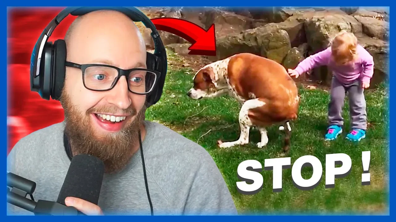 🧊 ISKOLD hund 🐶💩 HAHA 🤣