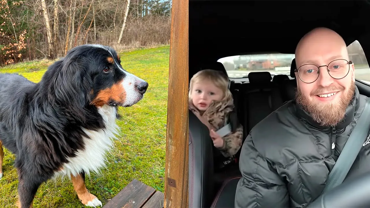 Anton bestemmer vores aftensmad