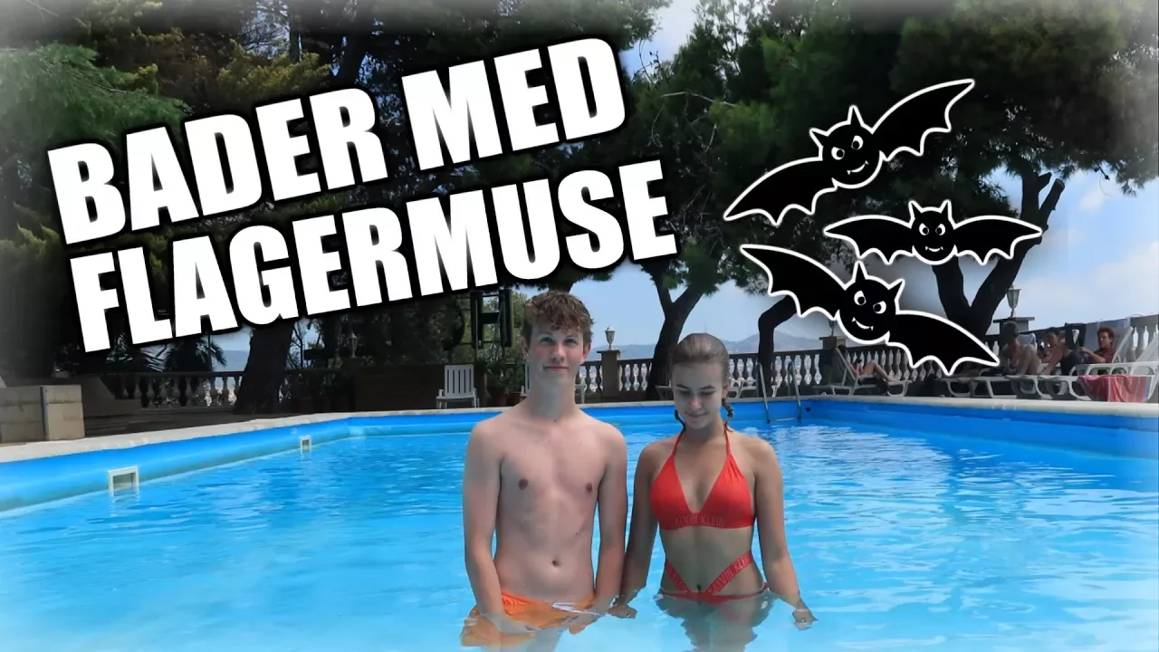 VI BADER MED FLAGERMUSE I BARCELONA!!