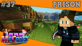 Dansk Minecraft - Prison Ep. 37 - SORTE PENGE PÅ BLACKMARKET!