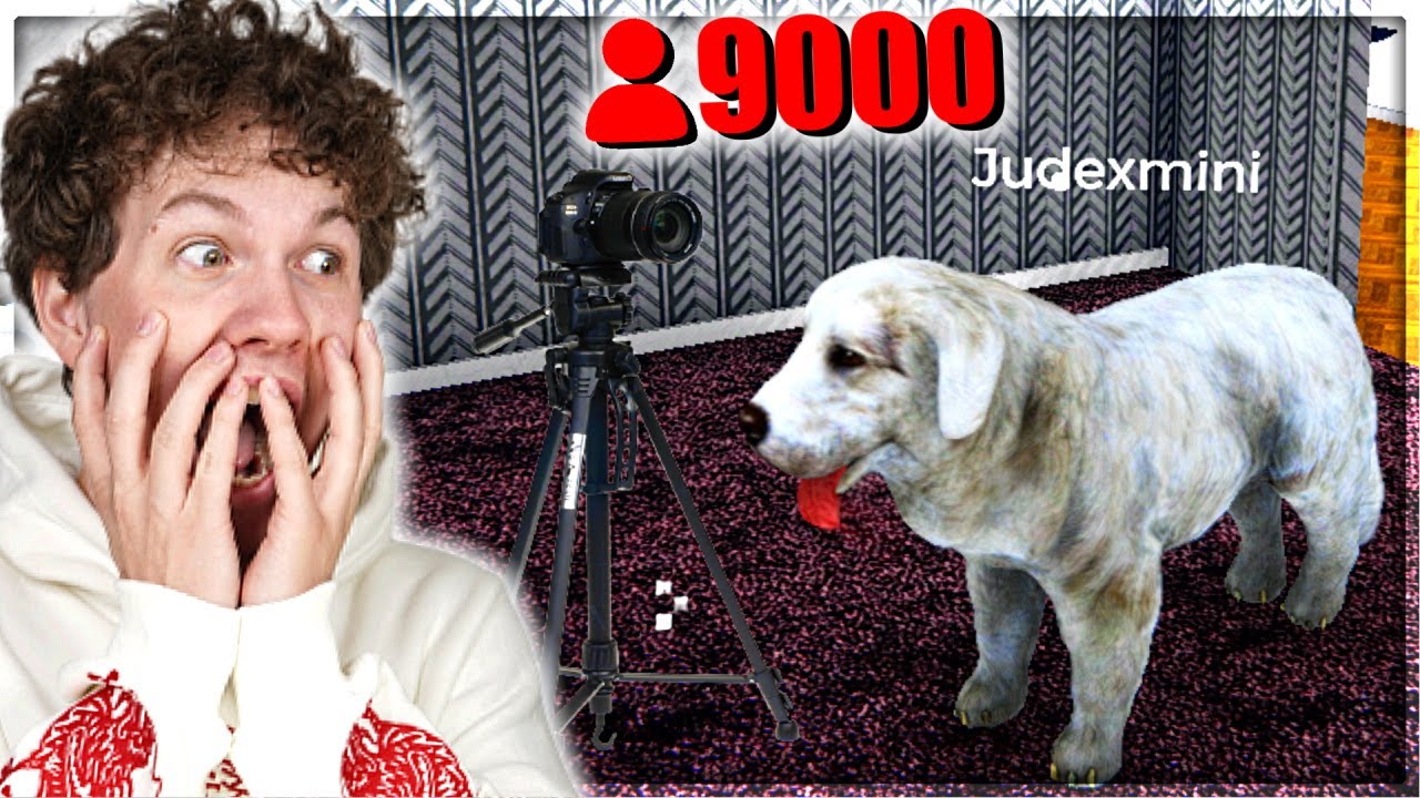 JEG KØBER EN HUND OG FÅR 9000 VIEWERS!! - Dansk Streamer Life Simulator